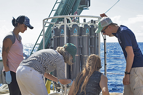 collecting seawater samples